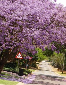 photo by Dianne Faktor